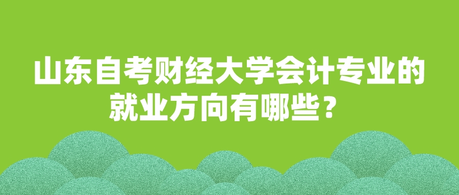 山东自考财经大学会计专业的就业方向有哪些？