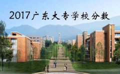 2017山东大专学校分数